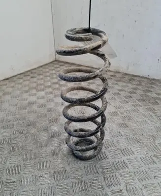 Volkswagen PASSAT B6 Rear coil spring