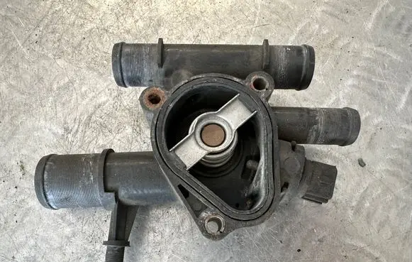 Thermostat/thermostat housing