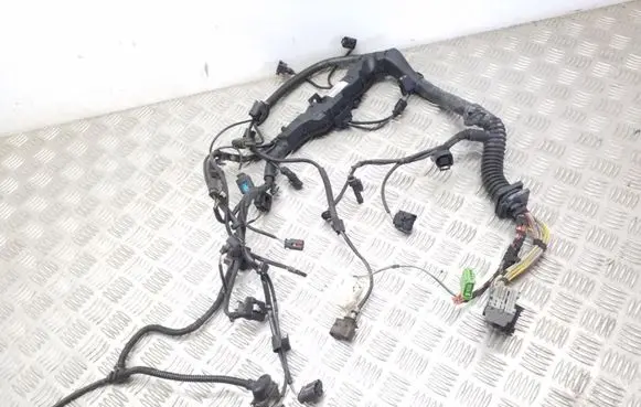 Engine installation wiring loom