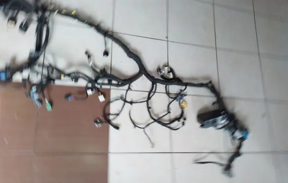 Opel Ampera- E Other wiring loom 42588006