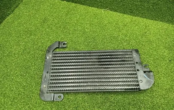 Renault Trafic III (X82) Fuel cooler (radiator) 175104049R