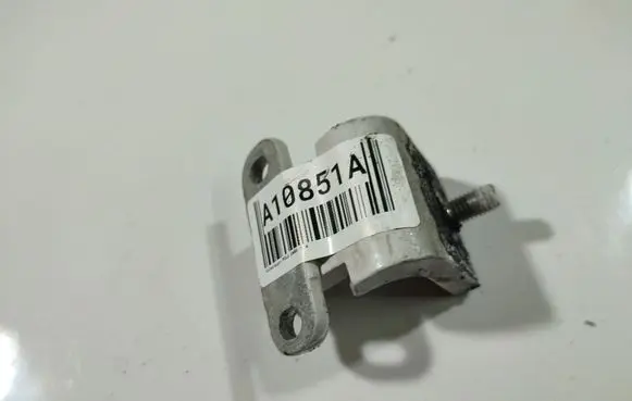 Rear door lower hinge