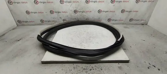 Renault Talisman Front door rubber seal 