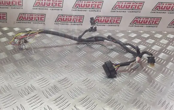 Tesla Model 3 Other wiring loom 106795800E YZK190300501100