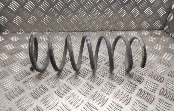Rear coil spring