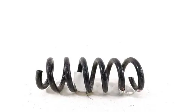 Rear coil spring