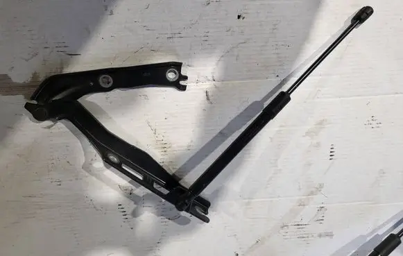 Volkswagen Tiguan Engine bonnet/hood hinges 571823302A