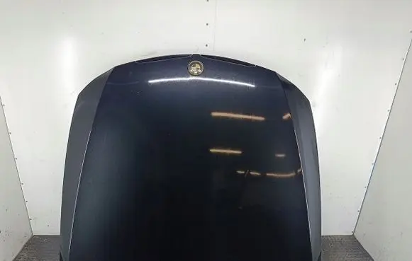BMW 3 E90 E91 Engine bonnet/hood 