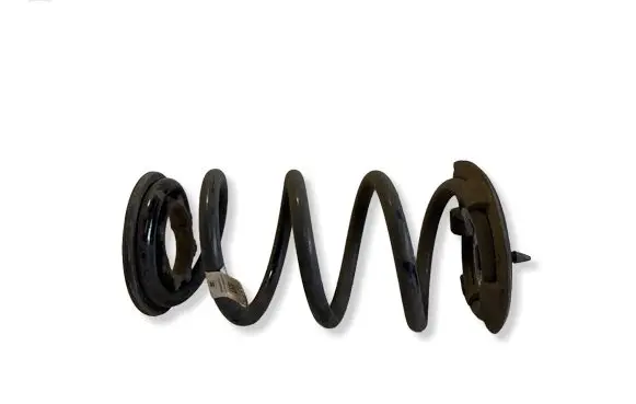 Tesla Model 3 Rear coil spring 104447201E