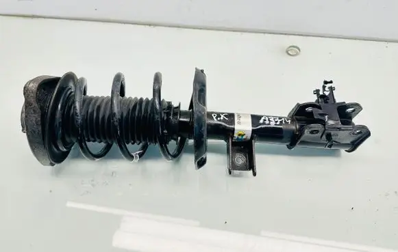 Mercedes-Benz B W246 W242 Front shock absorber with coil spring 22220103