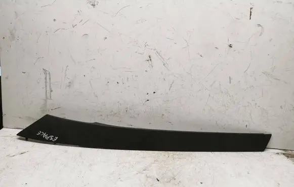 Fender trim (molding)