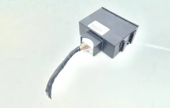 Immobilizer control unit/module