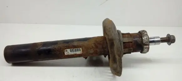 Volkswagen Golf V Front shock absorber/damper 1K0413031BF