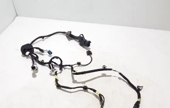 Renault Scenic E-Tech V Other wiring loom 241254075R