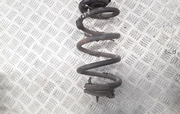 Rear coil spring