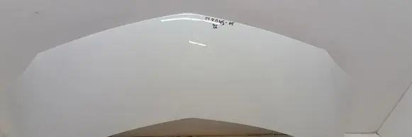 Engine bonnet/hood