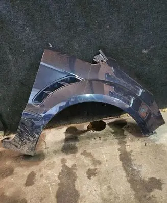 Ford S-MAX Fender 