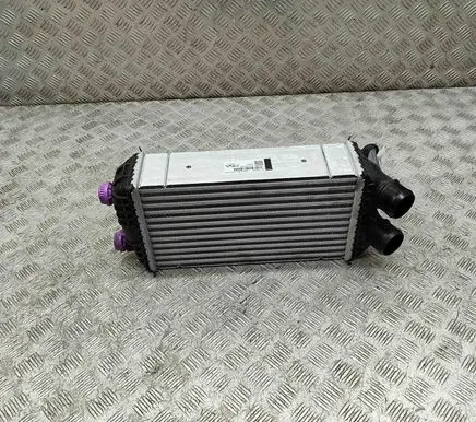 Peugeot 2008 II Intercooler radiator 9825341380