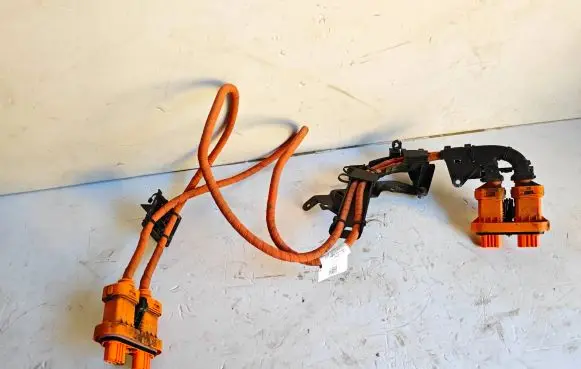 Cupra Born Other wiring loom 1EA971015T