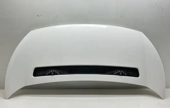 Citroen Jumpy Engine bonnet/hood 1608371780 7901N1