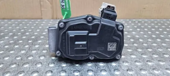 Throttle body valve