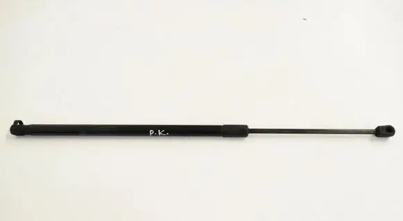 Volkswagen Beetle A5 Front bonnet/hood damper/strut A2048800029