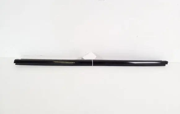 Ford Mach-E I Front door glass trim molding 