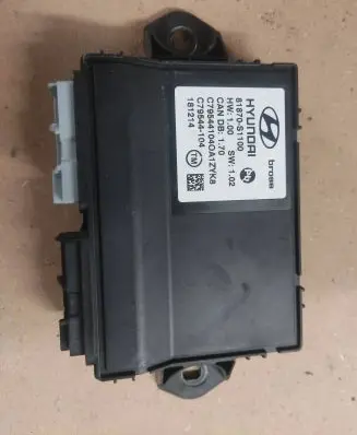 Hyundai Santa Fe Other control units/modules 81870S1100 C795441040 C79544104
