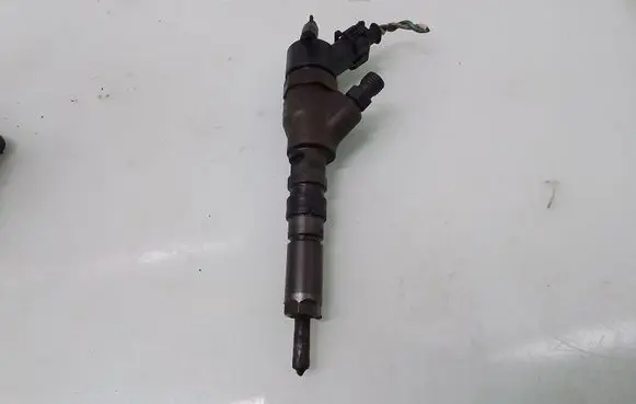 Peugeot 406 Fuel injector 9640088780