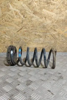 Opel Antara Rear coil spring 15882987 20811214