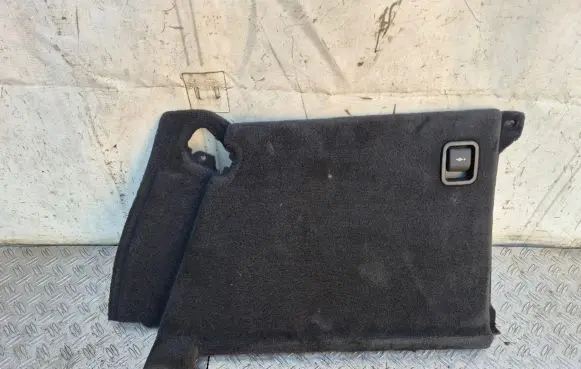 BMW X6 E71 Trunk/boot side trim panel 7246971 51477246971 7246974