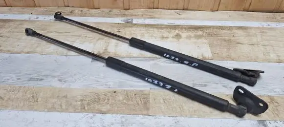 Toyota Prius (NHW20) Tailgate/trunk strut/damper 689600W431
