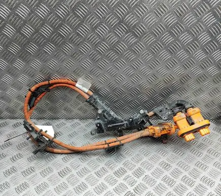 Skoda Enyaq iV Other wiring loom 1EA971015S