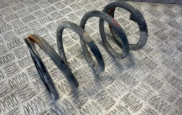 Rear coil spring