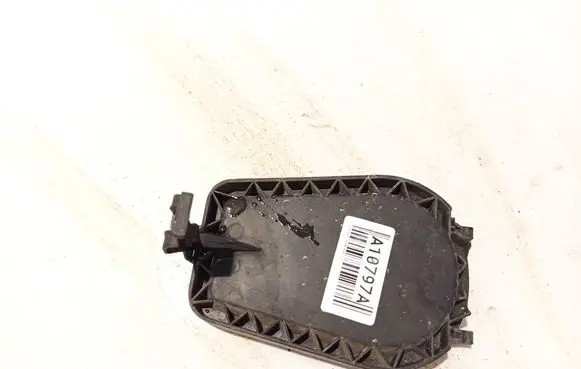 Volkswagen Touran I Headlight/headlamp dust cover 20a387g3