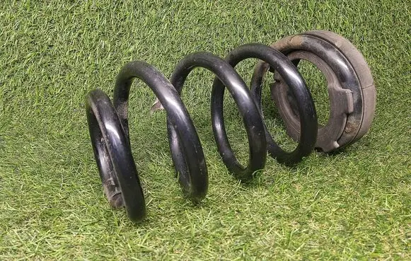Hyundai Santa Fe Rear coil spring 553354Z020
