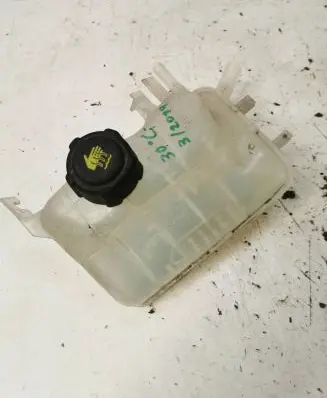 Renault Scenic III - Grand scenic III Coolant expansion tank/reservoir 217100005R