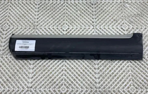 Rear door trim (molding)