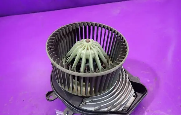 Volkswagen PASSAT B5.5 Heater fan/blower 