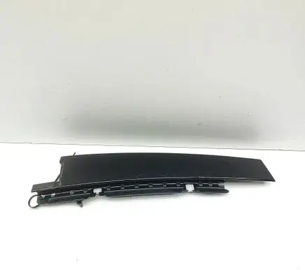 Ford Mustang Mach-E Rear door glass trim molding LJ8BR254A41ABW