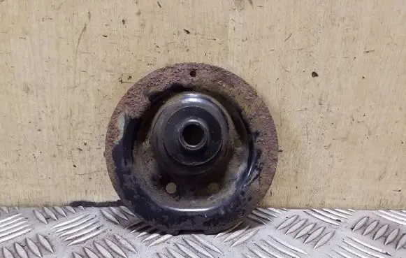 Coil spring mount