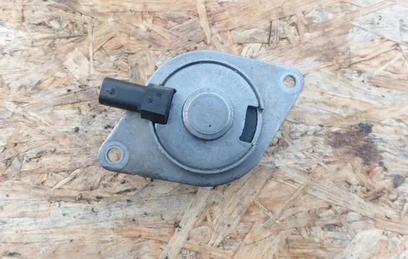 Opel Corsa D Valve oil control 55562223