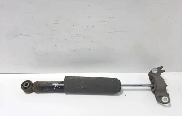 Opel Insignia A Rear shock absorber/damper 