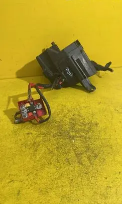 Renault Twingo II Fuse module