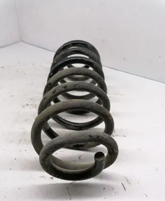 Rear coil spring