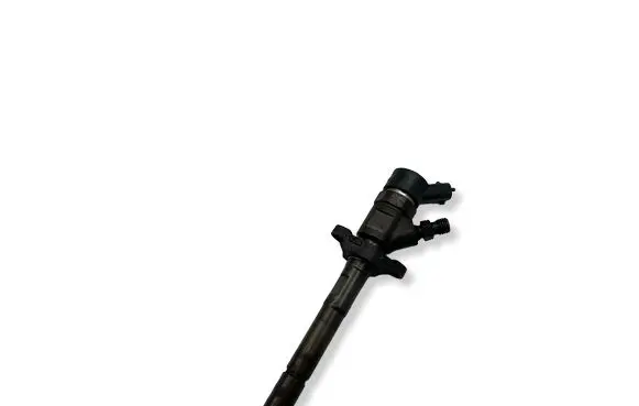 Peugeot 5008 Fuel injector 0445110259