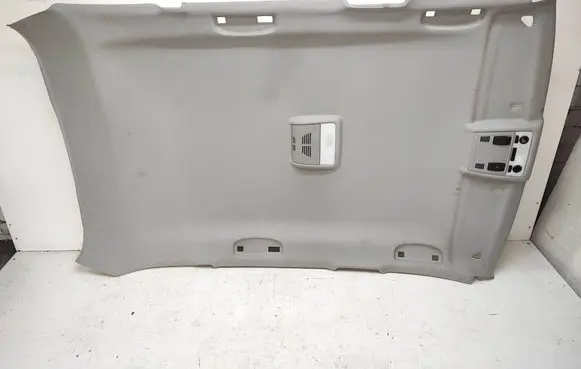 BMW X1 E84 Headlining 2991789