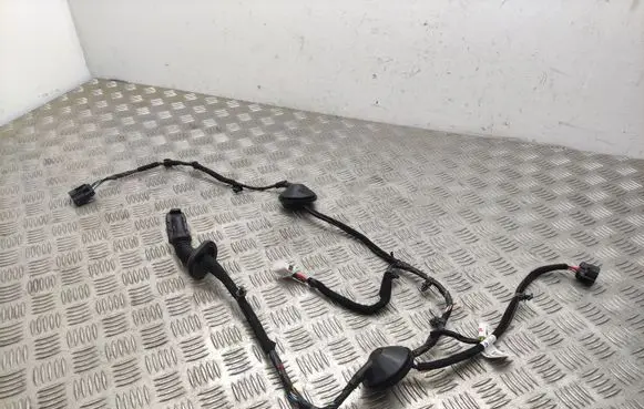 KIA Sorento Rear door wiring loom 91650C5040