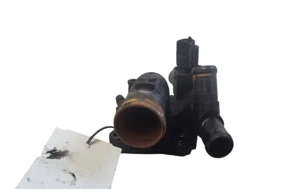 Thermostat/thermostat housing