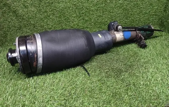 Land Rover Range Rover L322 Air suspension front shock absorber 22238311 LR051702 RNB501270